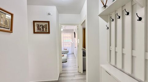 Foto 4 de Apartamento de alquiler en Punta Prima, Torrevieja