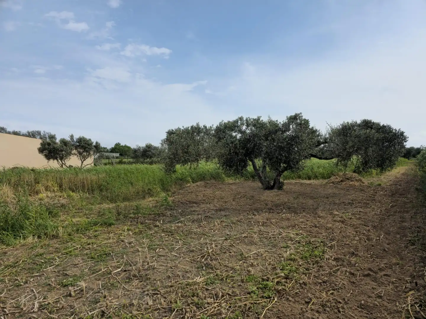 Finca rústica en venta en Puerto Real con Trastero