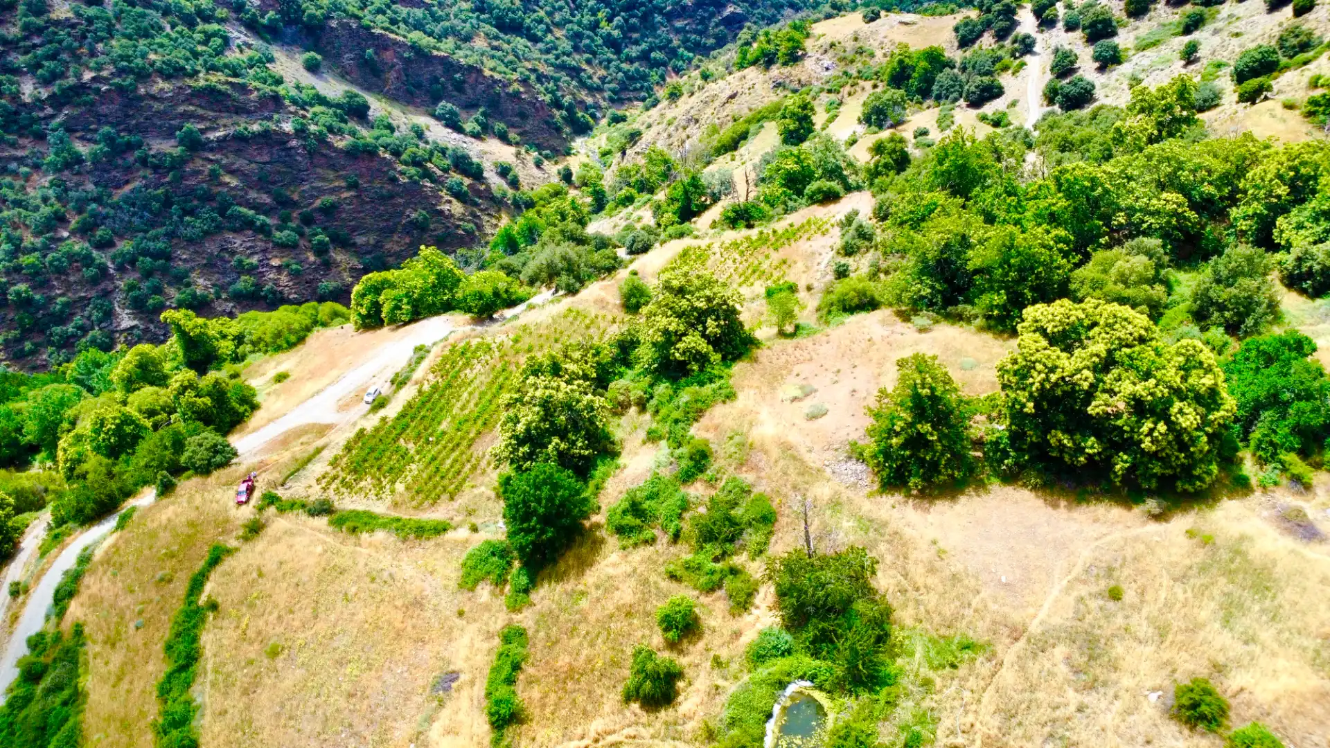 Terreni e lotti in vendita a Alpujarra de la Sierra, imagen 35