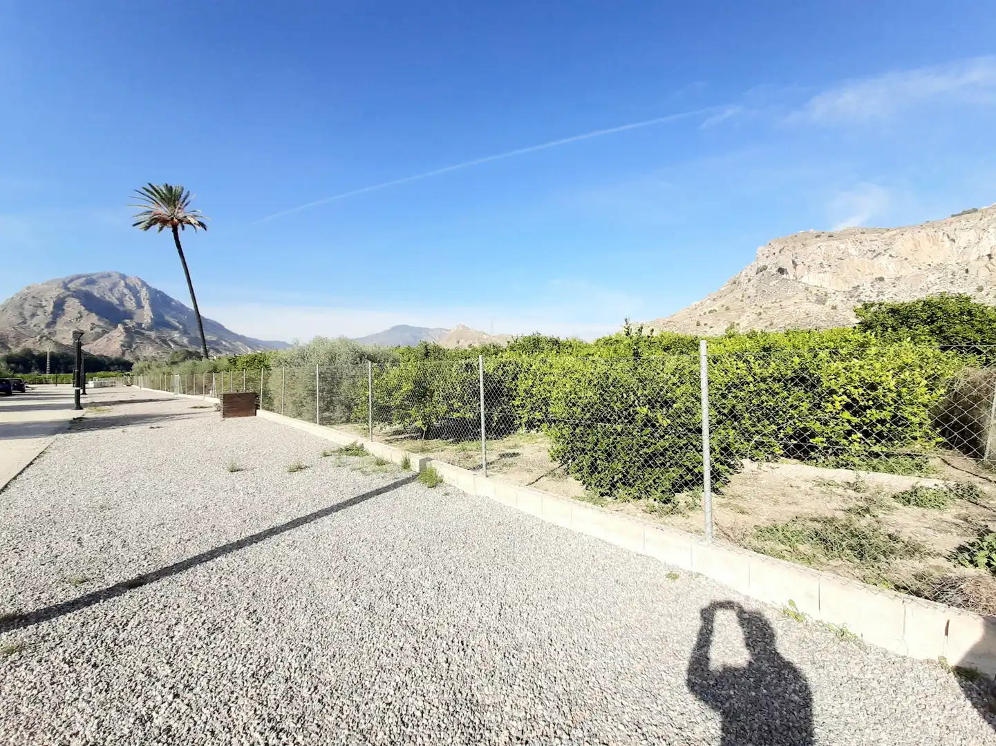 Rural land for sale in Ulea, imagen 7