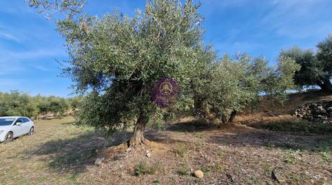 Photo 5 of Country house for sale in N/a, Mestral, Reus