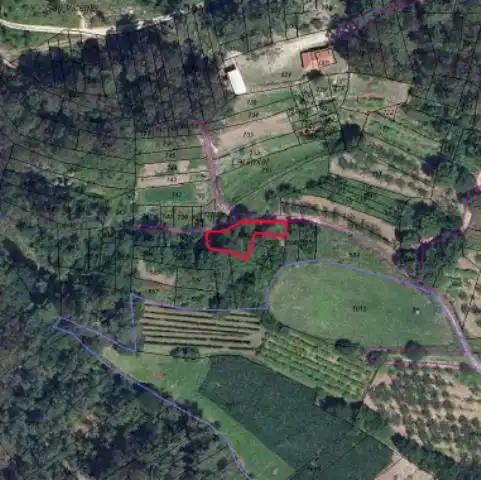 Terreno rustico in vendita a O Rosal