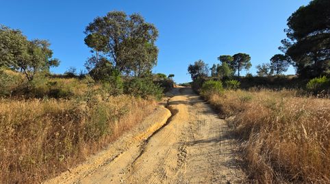 Foto 4 de Terreno en venta en Villablanca, Huelva