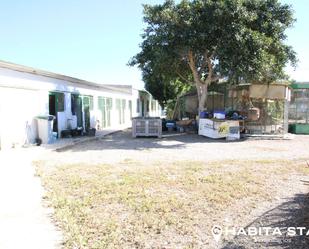 Exterior view of Residential for sale in Pechina