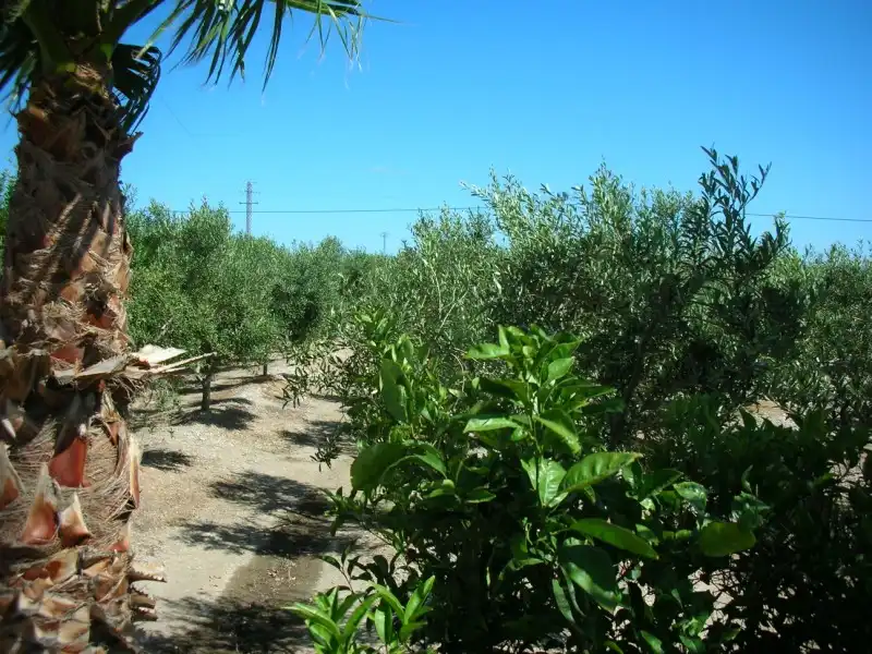 Finca rústica en venta en La Ràpita con Jardín privado, Piscina y Alarma