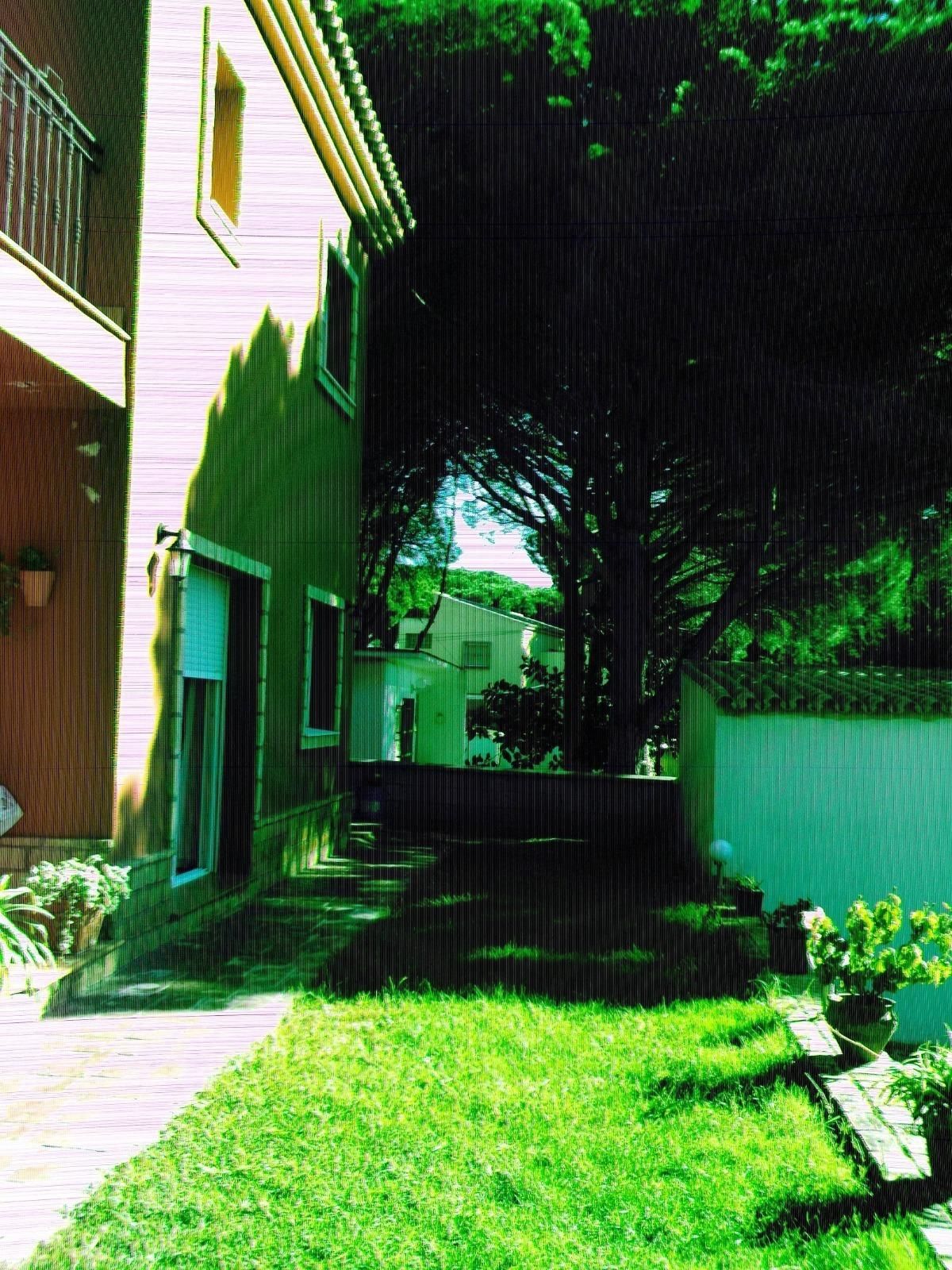 Exterior view of House or chalet for sale in Chiclana de la Frontera