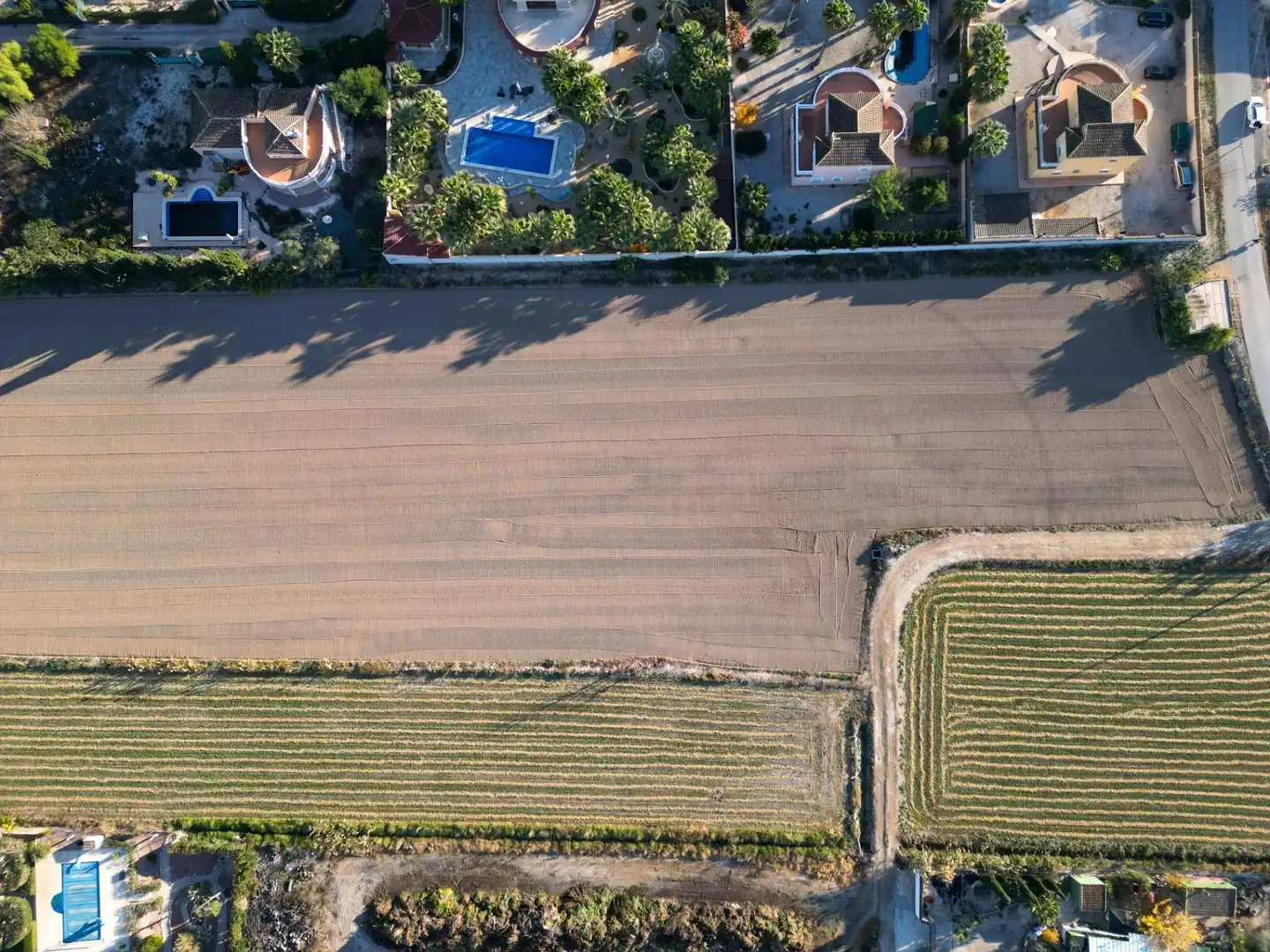 Rural land for sale in Catral, imagen 2