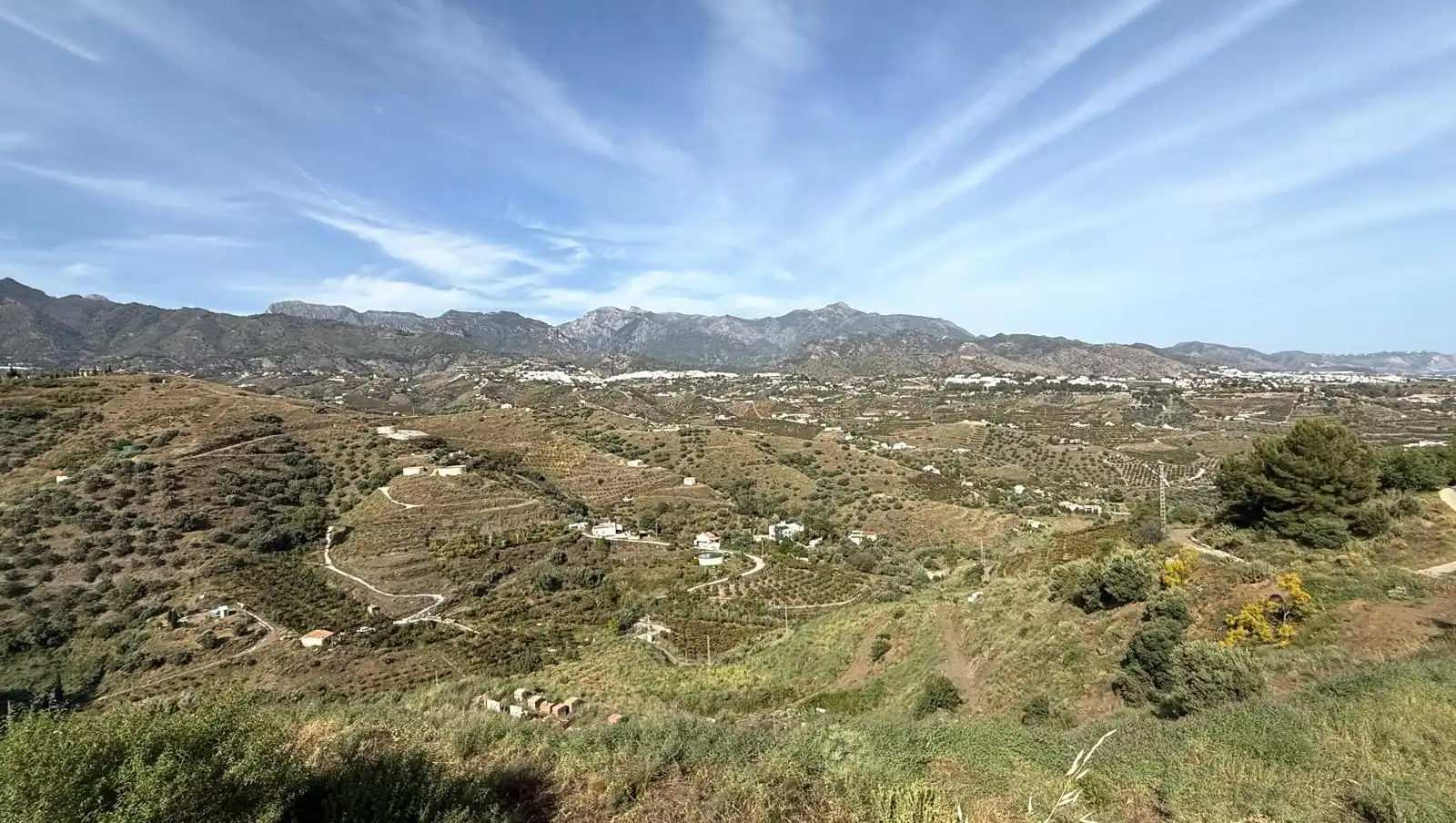 Terreni e lotti in vendita a Parcela PARCELA 309, POLIGONO 3, DEL PARAJE BARRANCO PÉREZ, imagen 8