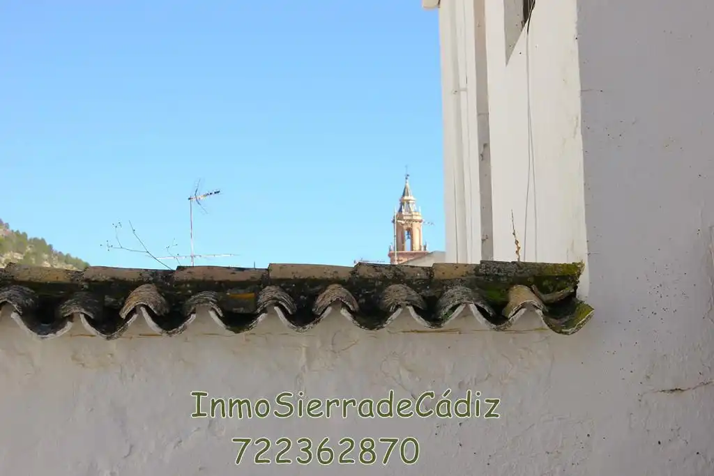 Vista exterior de Casa o chalet en venta en Algodonales con Terraza y Balcón