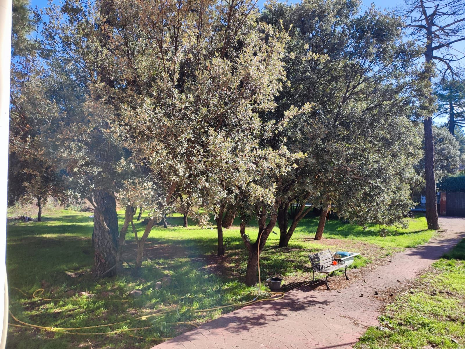 Jardí de Casa o xalet en venda en Marugán amb Calefacció, Jardí privat i Terrassa