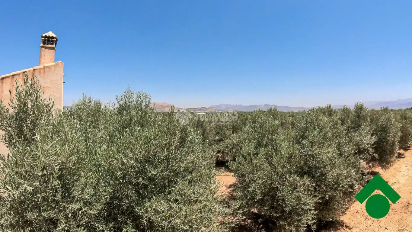Rustikales Grundstück zum Verkauf in Santa Fe, imagen 34