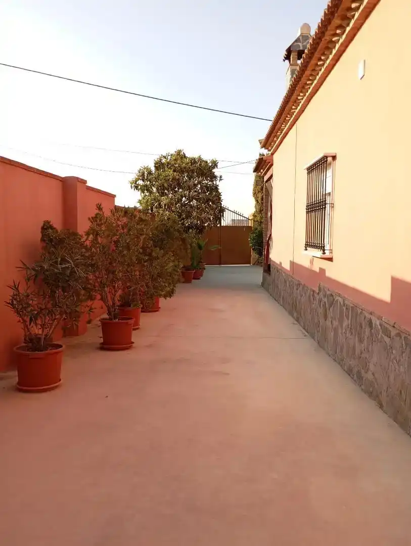 Vista exterior de Casa o chalet en venta en Casariche con Aire acondicionado