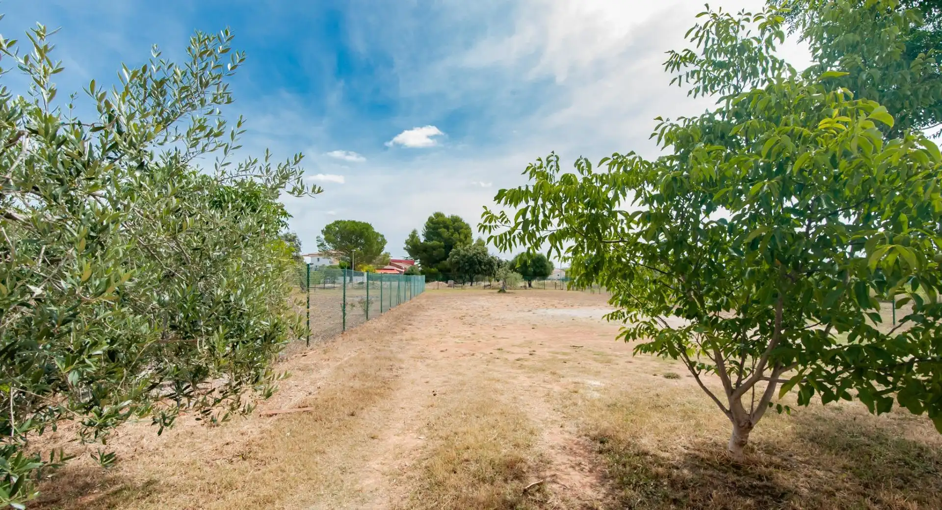 Geschaftsraum zur Miete in Pacs del Penedès
