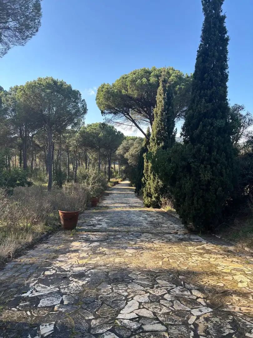 Jardín de Finca rústica en venta en La Pera con Jardín privado, Trastero y Piscina