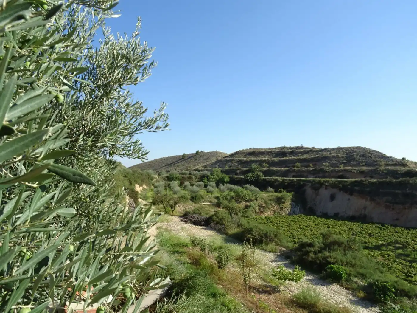 Casa o xalet en venda a Pedanías Este