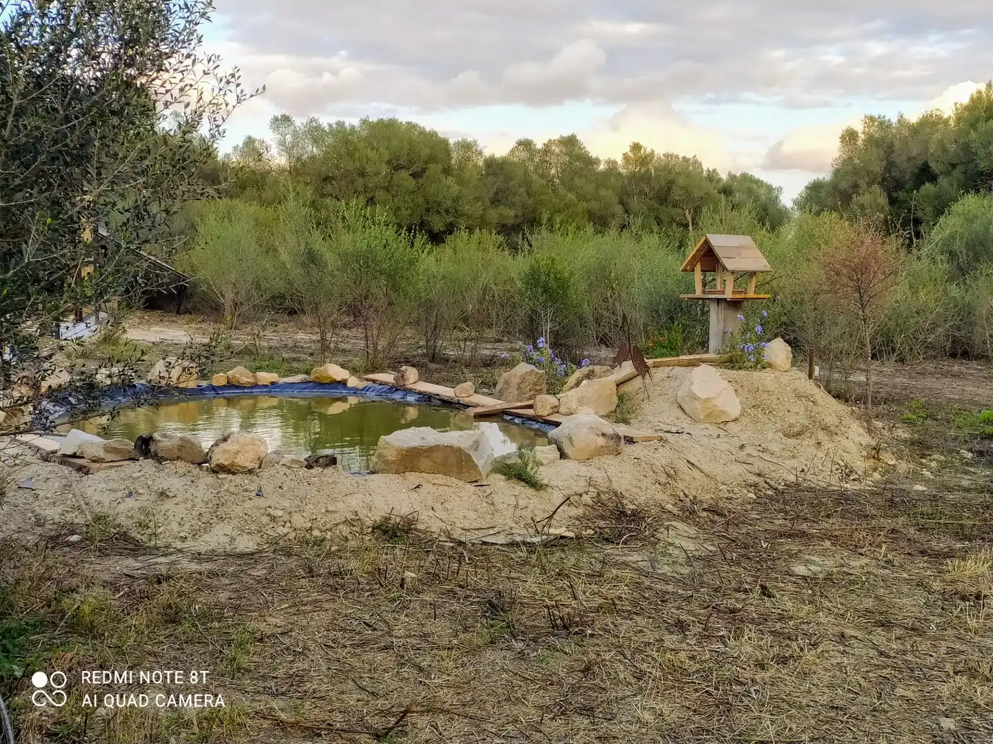 Terreno rústico en venta en Porreres, imagen 12
