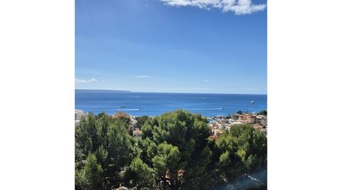 Foto 2 de Apartament de lloguer a Sant Agustí, Palma de Mallorca