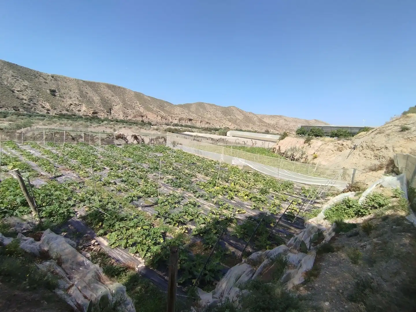 Terreno rustico in vendita a Santa Fe de Mondújar, imagen 18