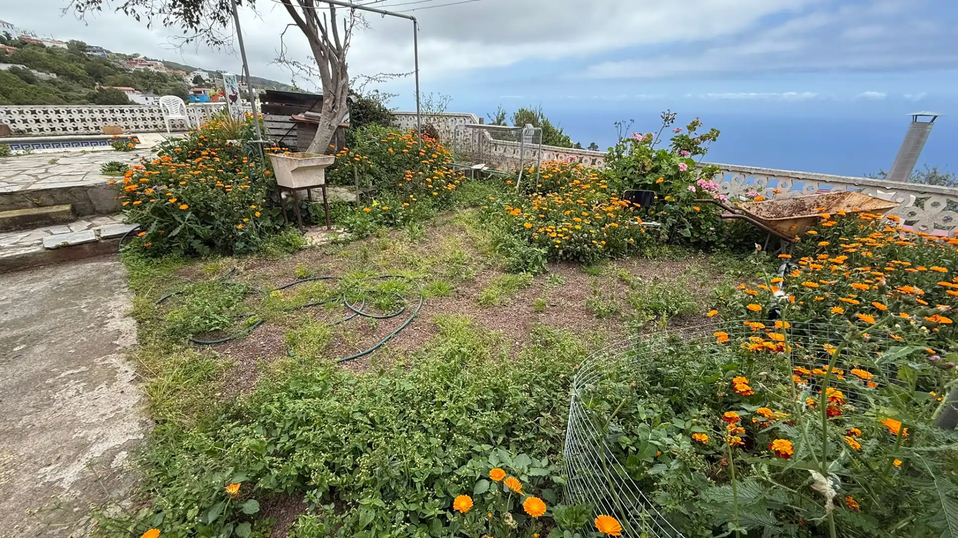 Jardín de Finca rústica en venta en Icod de los Vinos con Jardín privado, Terraza y Trastero