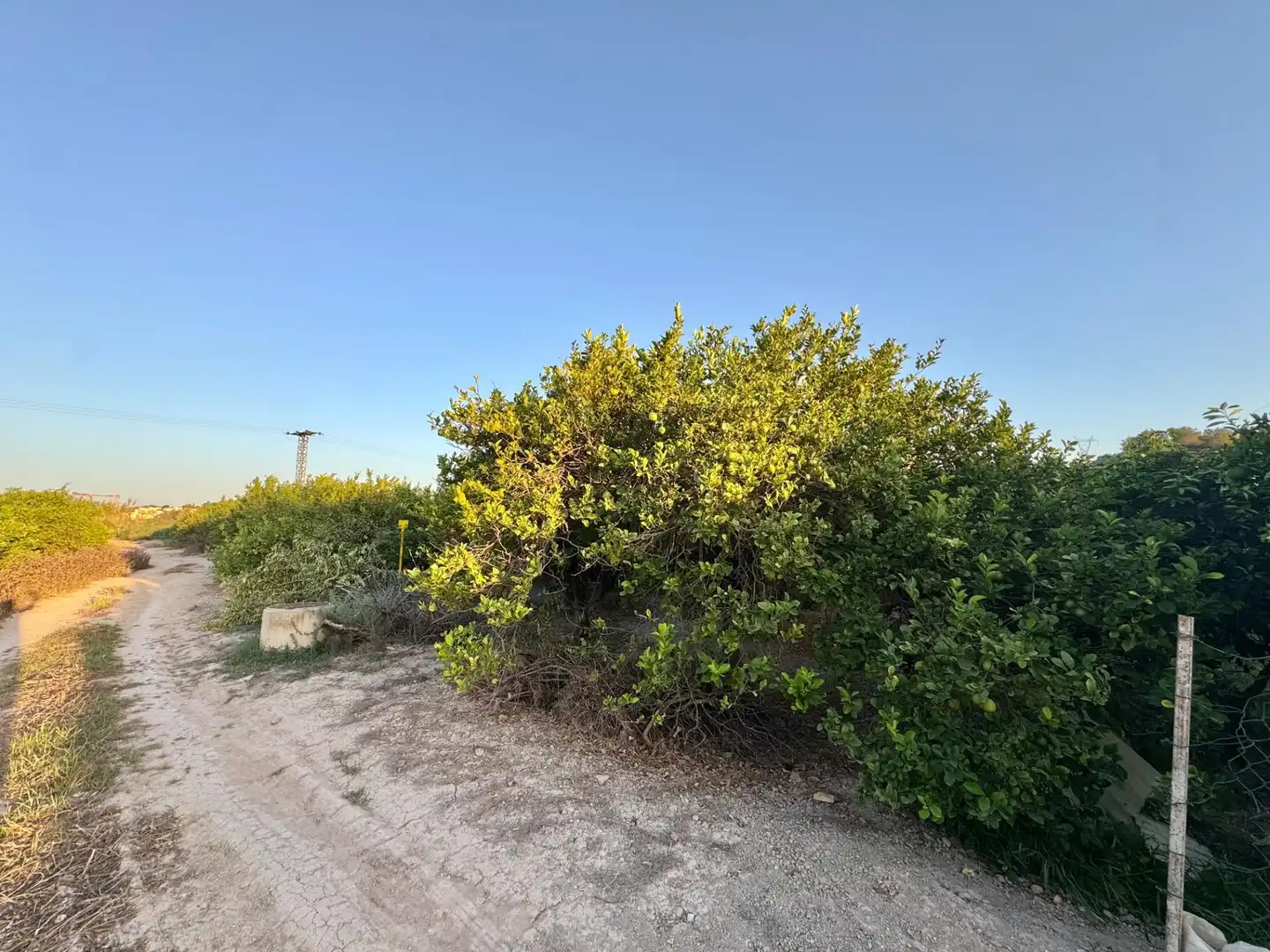 Land for sale in Orihuela