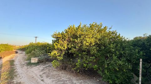 Foto 4 de Terreny en venda a Barrio Hurchillo-arneva, 1, Desamparados - Hurchillo - Torremendo, Orihuela