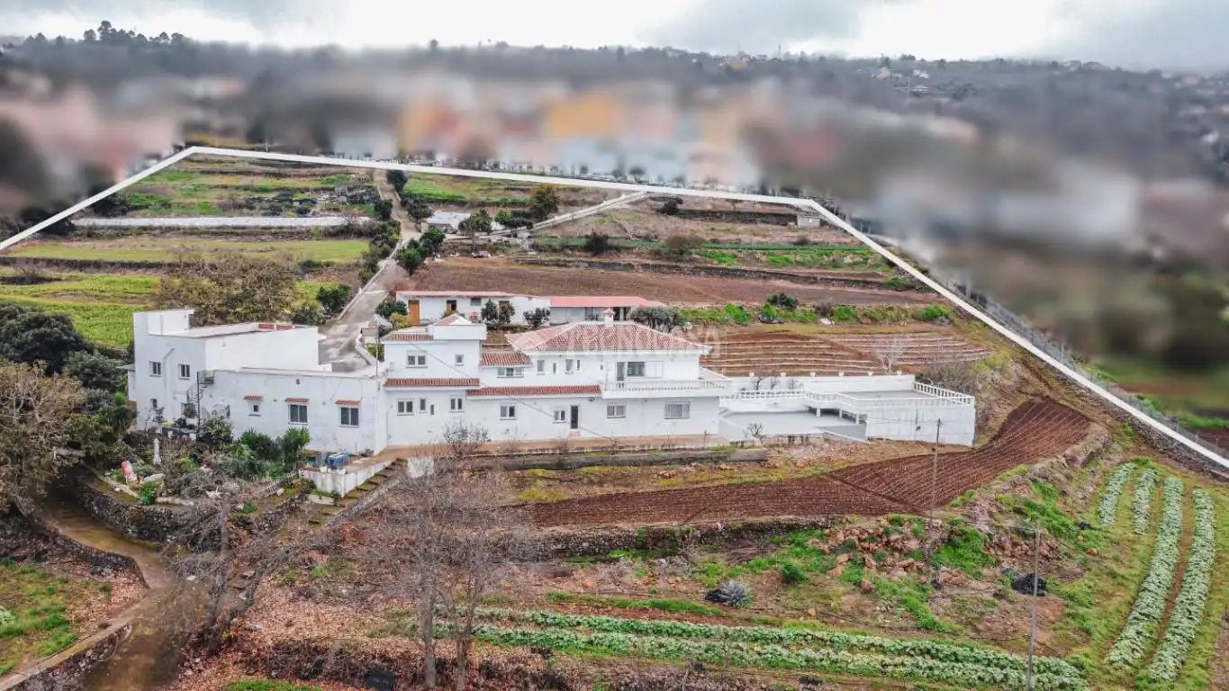 Exterior view of Houses for sale in La Orotava