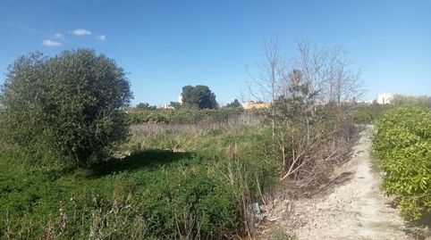 Foto 5 de Terreno en venta en Camino Senda de L´amo, 115, Miramar, Valencia
