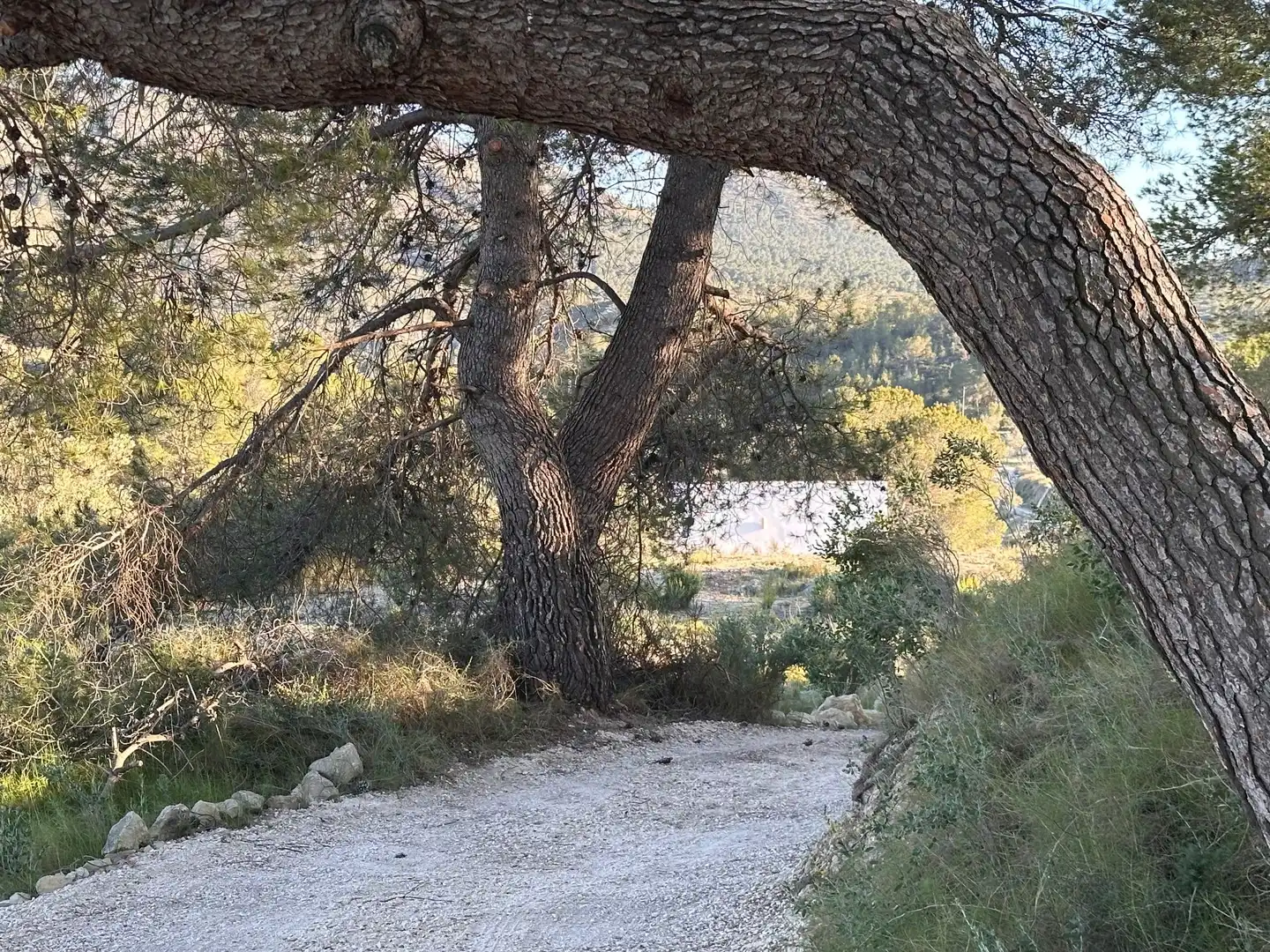 Vista exterior de Finca rústica en venda en Relleu amb Calefacció i Jardí privat