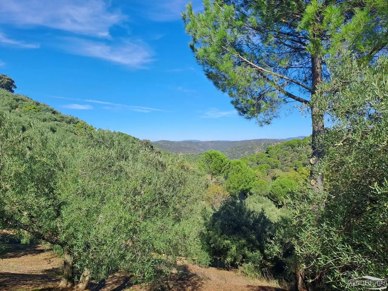 Casa o chalet en venta en Villaviciosa de Córdoba con Piscina