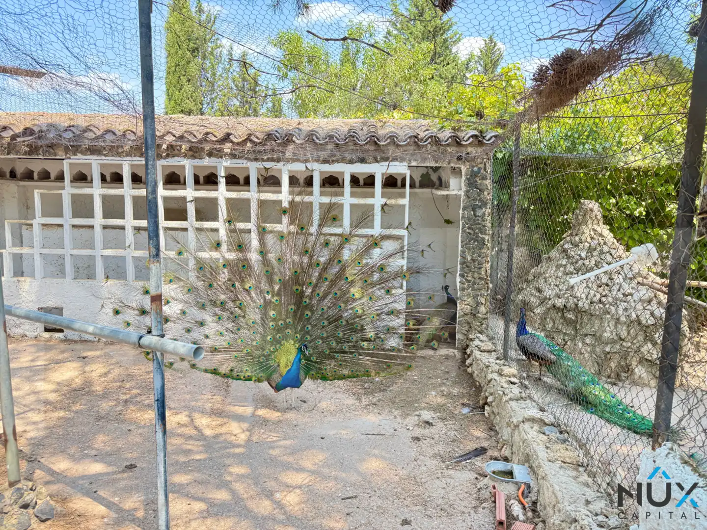 Casa o xalet en venda a N-330, Cofrentes