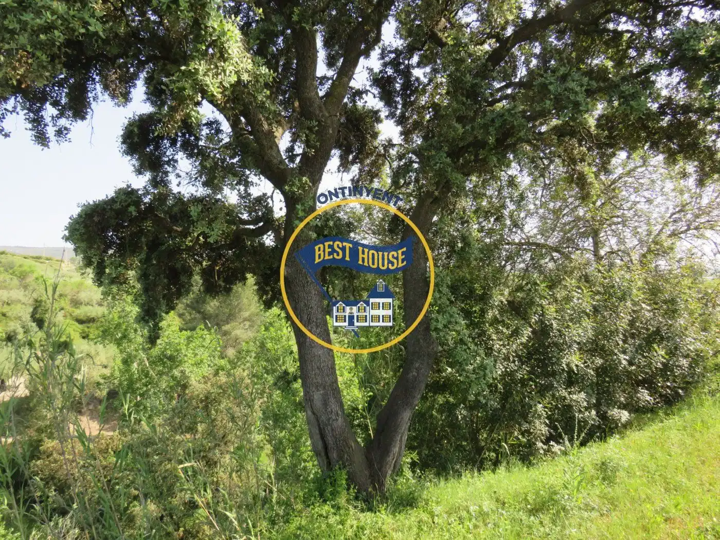 Terrenys i solars en venda a Agullent, imagen 7