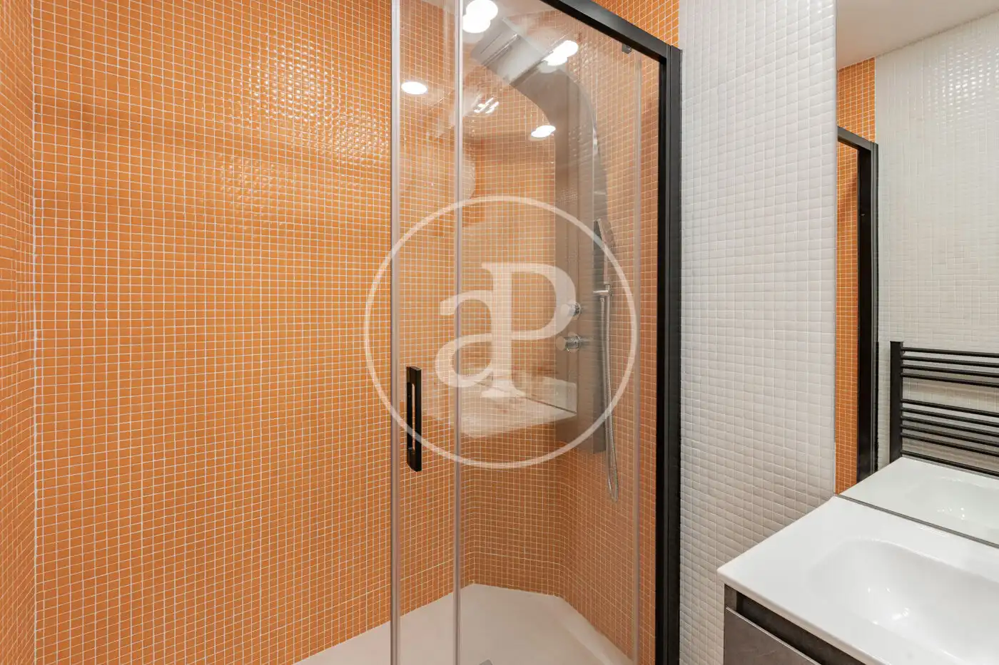 Flat for sale in Ciudad Lineal, imagen 48
