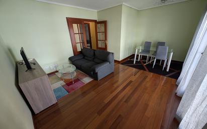 Living room of Flat for sale in Limpias  with Heating, Parquet flooring and Furnished