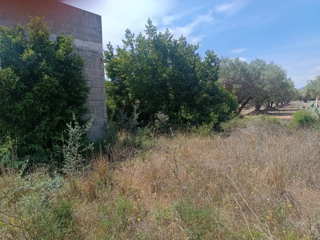 Nau industrial en venda en Canet lo Roig
