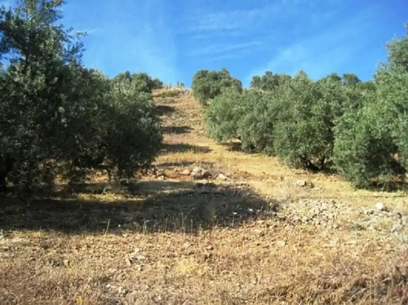 Terreni e lotti in vendita a Navas de San Juan, imagen 6