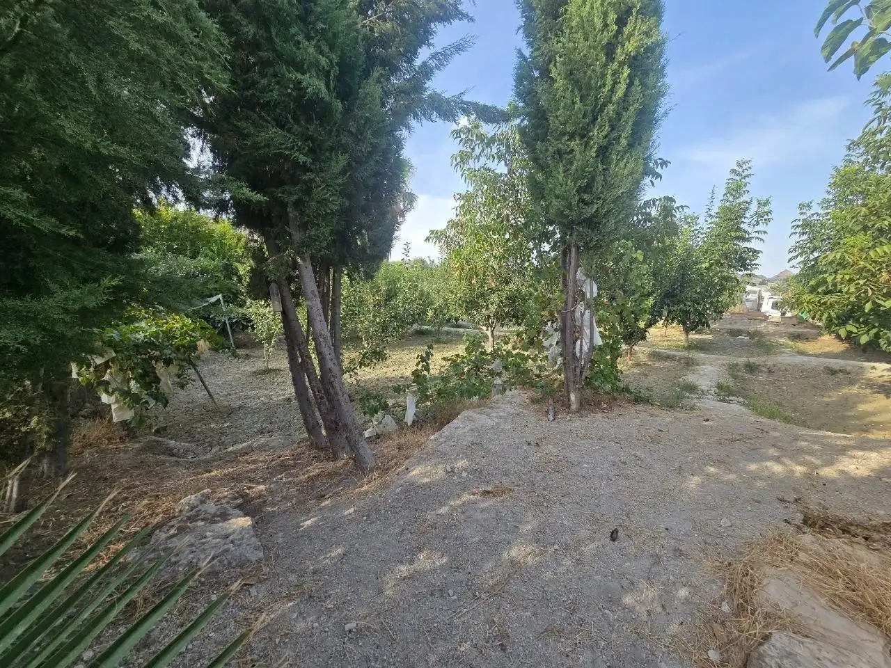Reihenhaus mit Garten zum Verkauf in Calle de las Arboledas, imagen 56