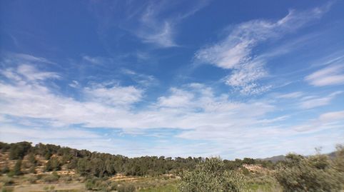 Zona rural tranquila en el Pinell de Brai., immagine 3
