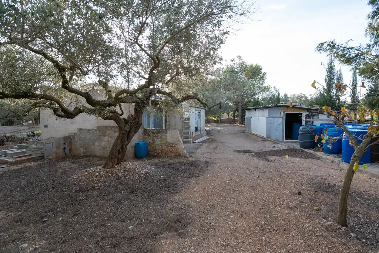 Detached house for sale in Carrer Diego de León 39, imagen 25