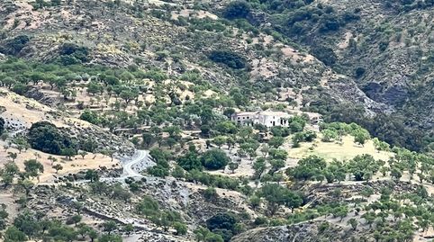 Cortijo Alqueria, imagen 3