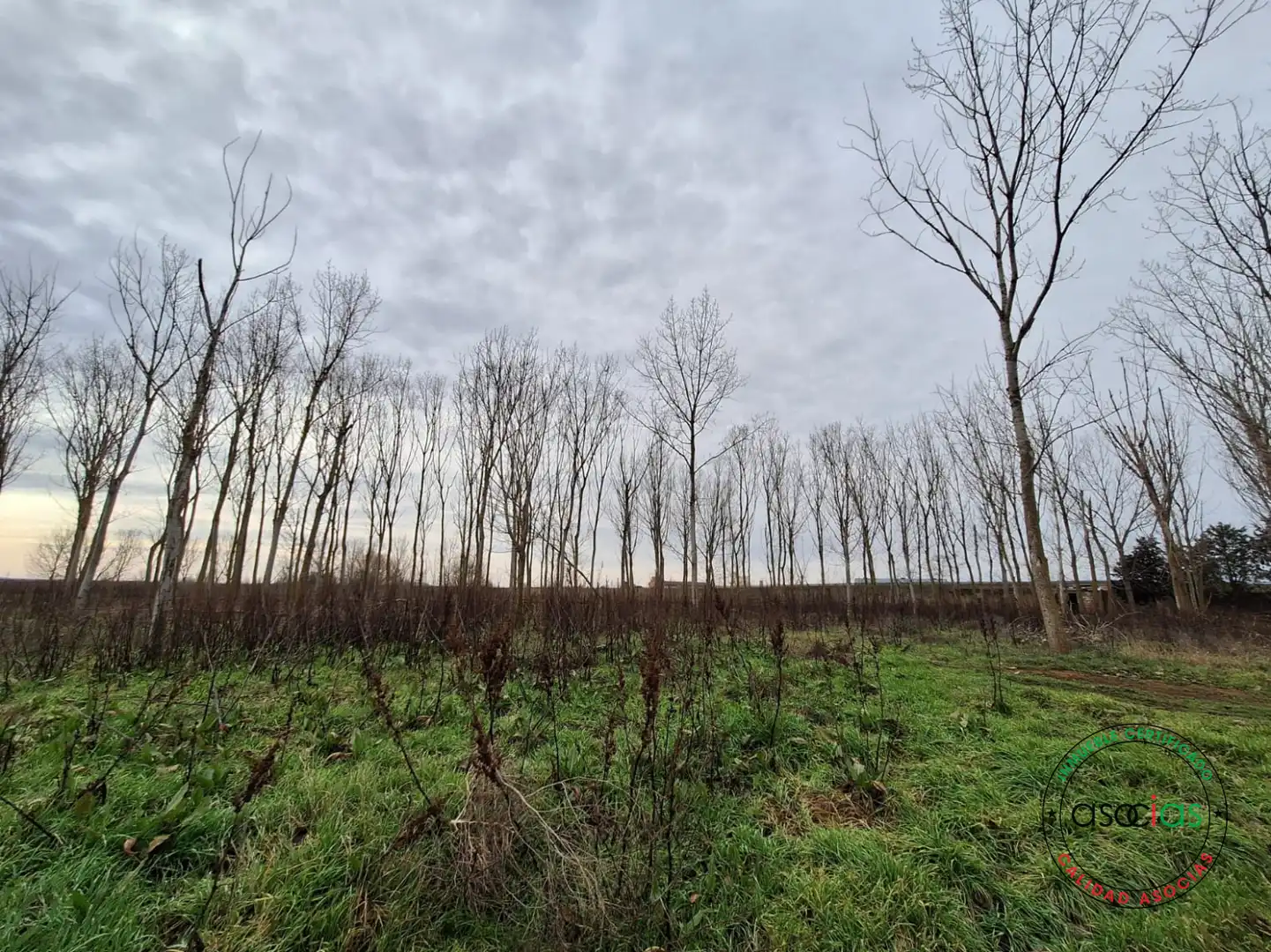 Nave industrial en venta en Sahagún