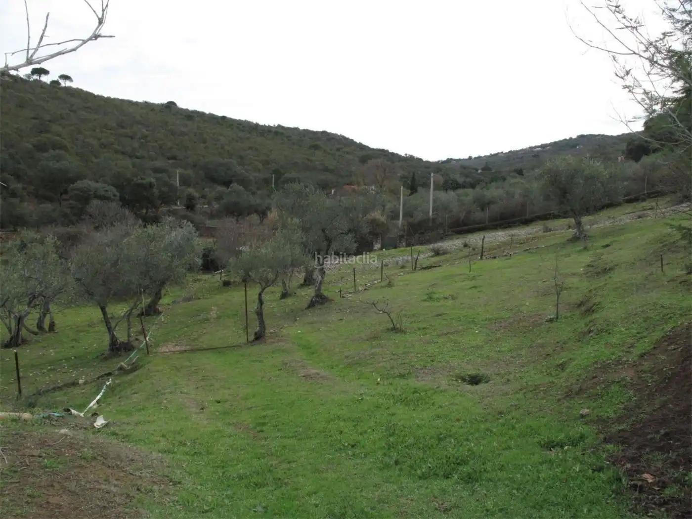 Maison à vendre à Calle de la Sierra de la Montaña 2, imagen 8