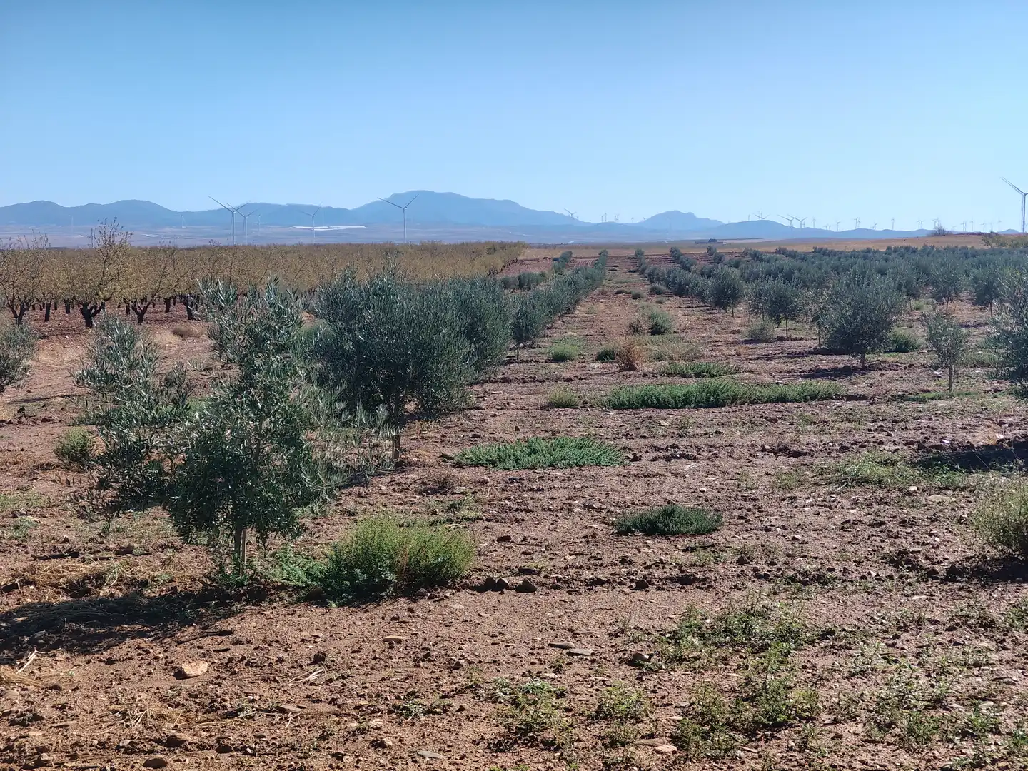 Terreno rustico in vendita a N/A, imagen 16