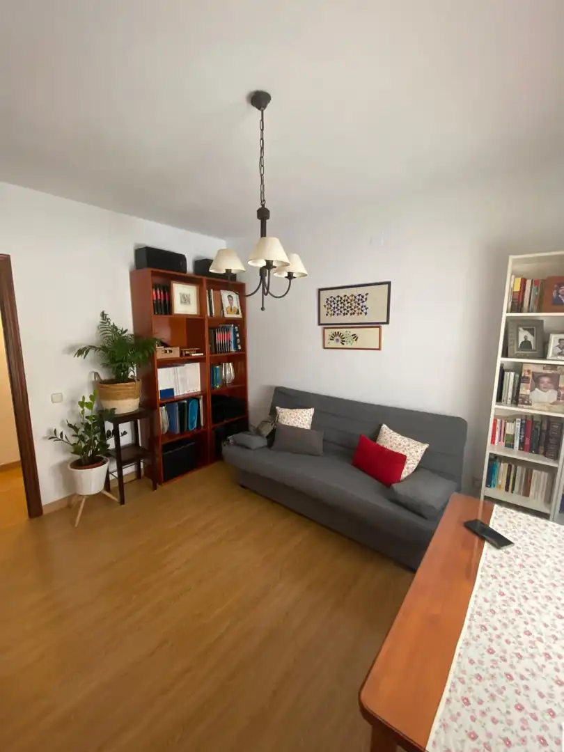 Living room of Flat for sale in Manzanares  with Air Conditioner, Heating and Storage room
