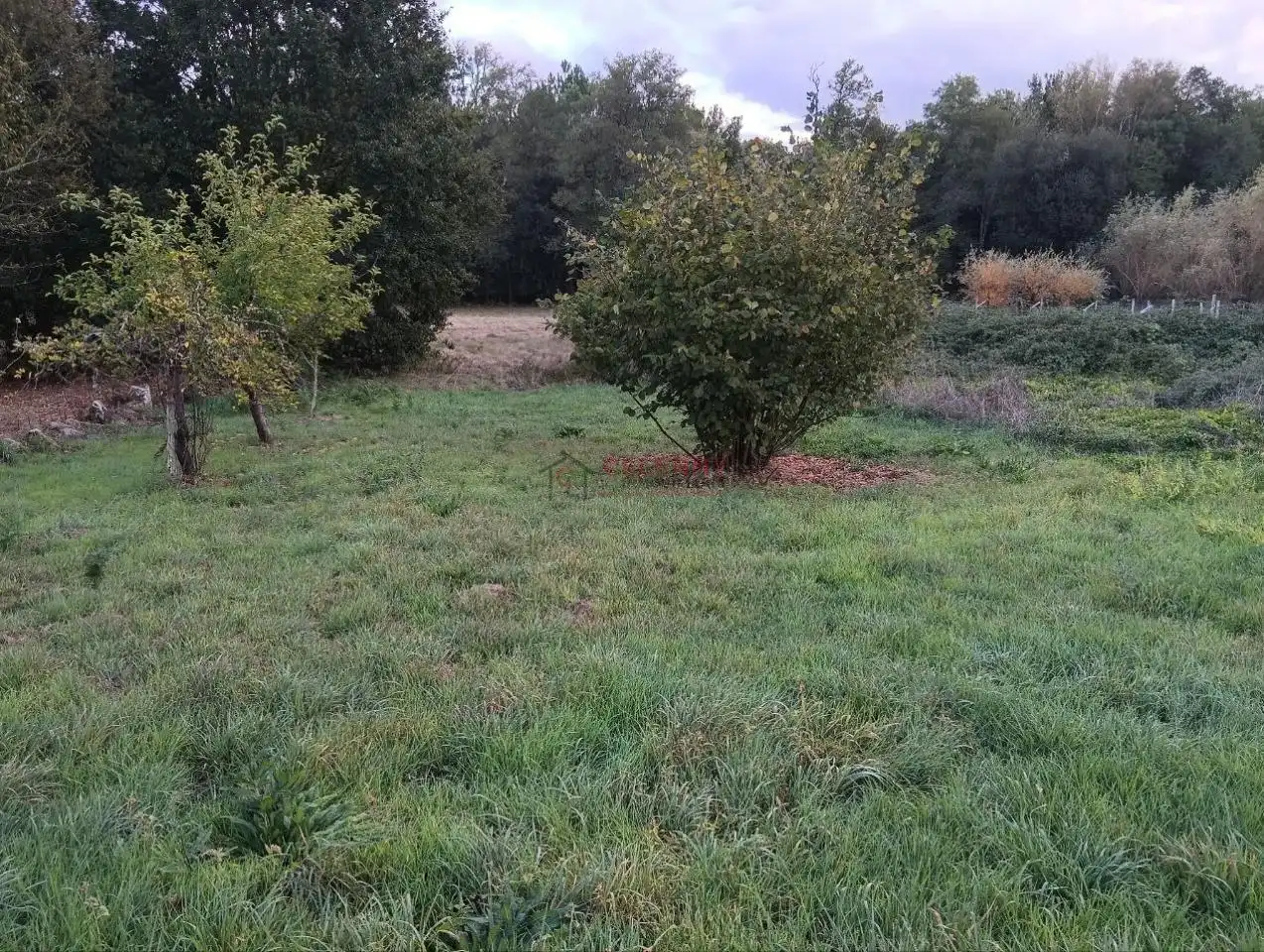 Rustikales Grundstück zum Verkauf in Amoeiro, imagen 2