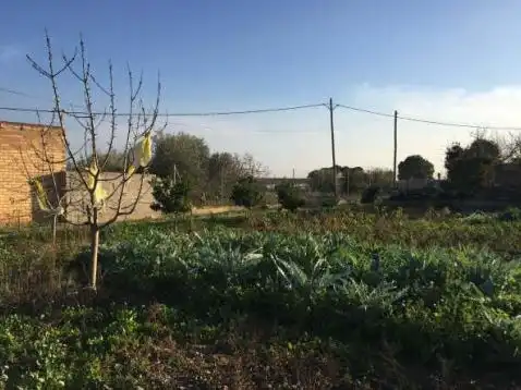 Casa o chalet en venta en N , Jesús - Els Reguers
