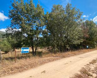 Terreny en venda en Rebollar (Cáceres)