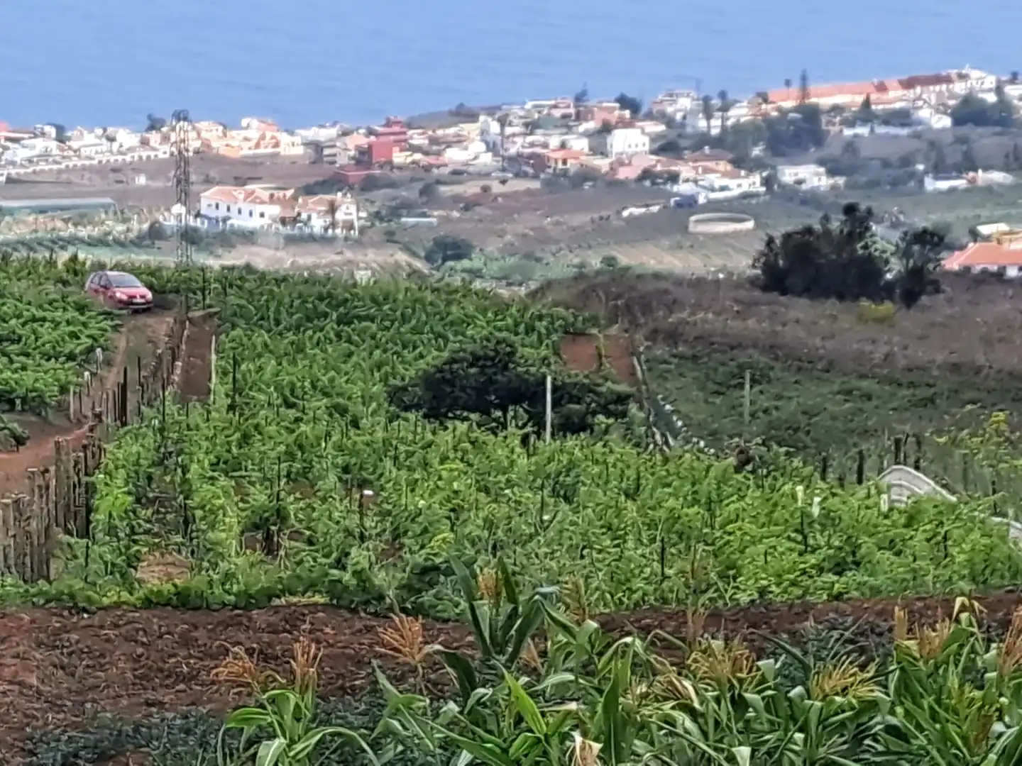 Rural land for sale in El Sauzal, imagen 37