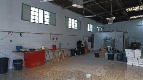 Photo 2 of Industrial buildings for sale in Bonanza - Avda de Huelva - Barrio Andalucia, Cádiz