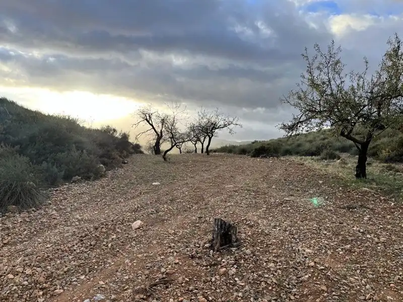 Terreny rústic en venda a Villamena, imagen 11