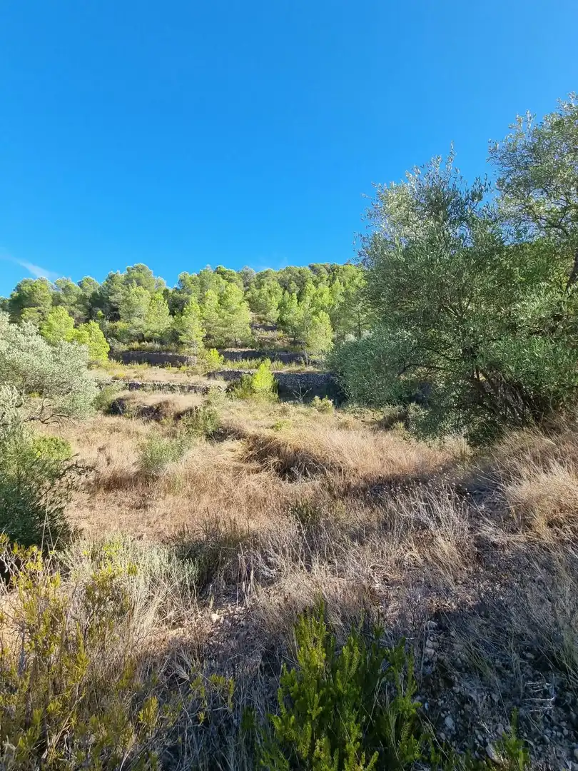 Lands and plots for sale in poligono 7 parcela 274, imagen 17